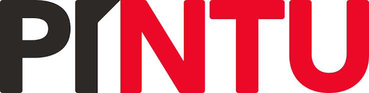Pintu